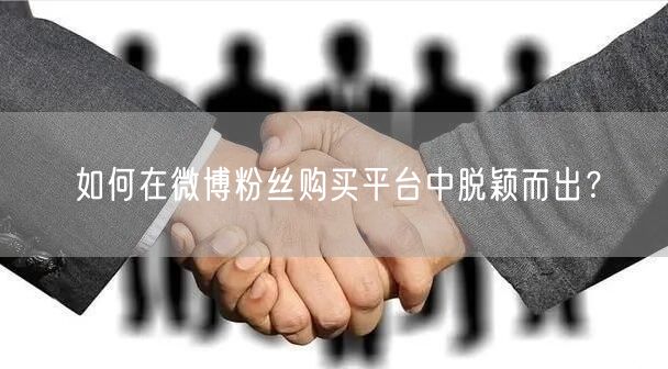 如何在微博粉丝购买平台中脱颖而出？