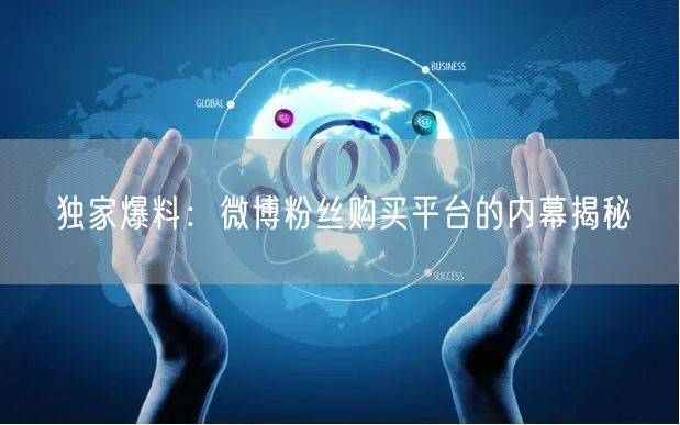 独家爆料：微博粉丝购买平台的内幕揭秘