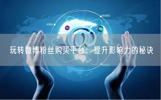 玩转微博粉丝购买平台：提升影响力的秘诀