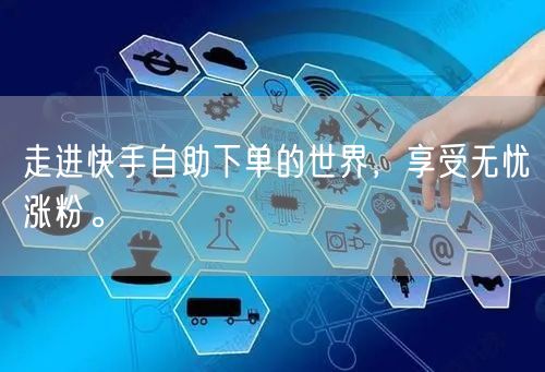 走进快手自助下单的世界，享受无忧涨粉。