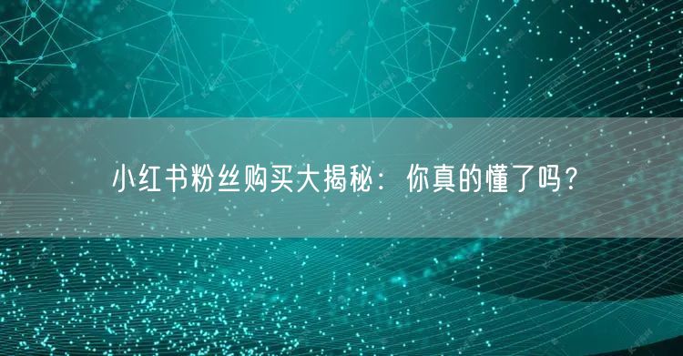 小红书粉丝购买大揭秘：你真的懂了吗？