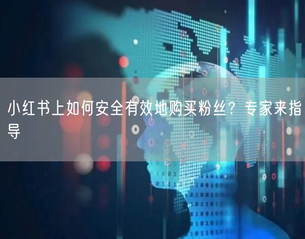 小红书上如何安全有效地购买粉丝？专家来指导