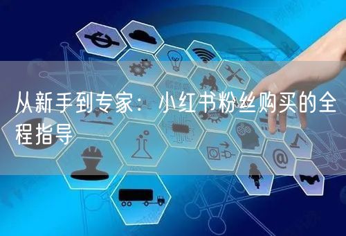 从新手到专家：小红书粉丝购买的全程指导