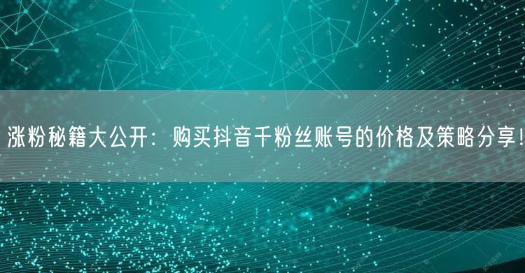涨粉秘籍大公开：购买抖音千粉丝账号的价格及策略分享！