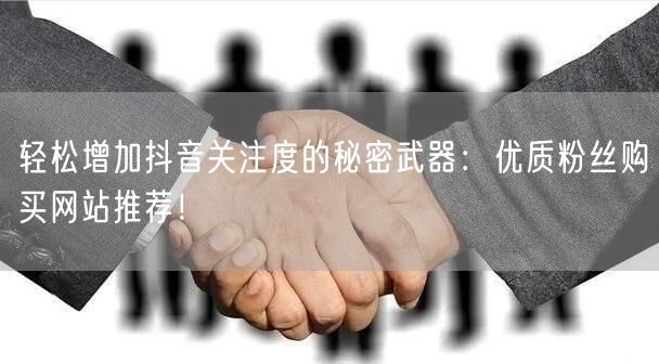 轻松增加抖音关注度的秘密武器：优质粉丝购买网站推荐！