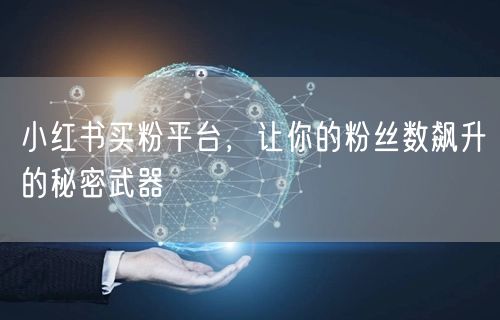 小红书买粉平台，让你的粉丝数飙升的秘密武器