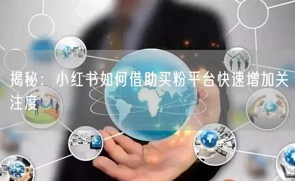 揭秘：小红书如何借助买粉平台快速增加关注度
