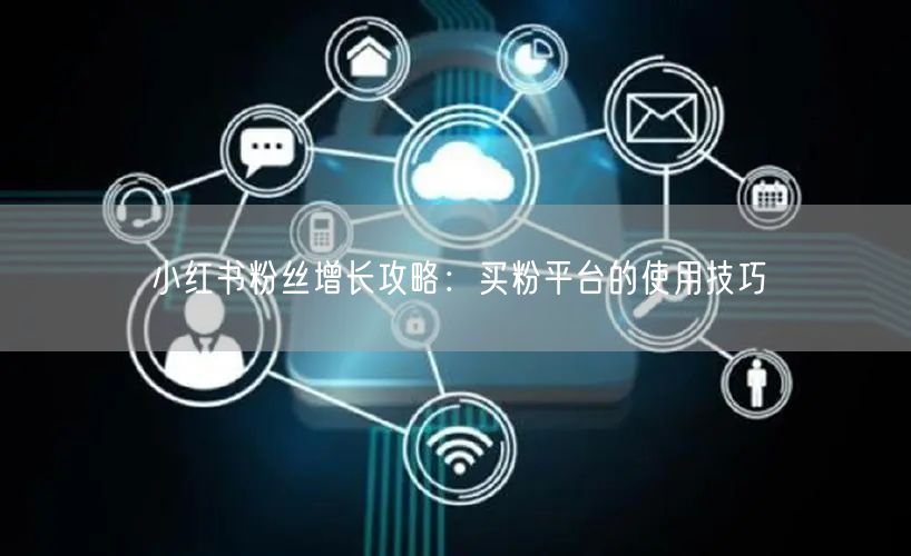 小红书粉丝增长攻略：买粉平台的使用技巧