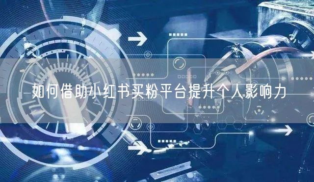 如何借助小红书买粉平台提升个人影响力