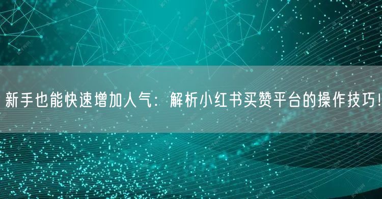 新手也能快速增加人气：解析小红书买赞平台的操作技巧！