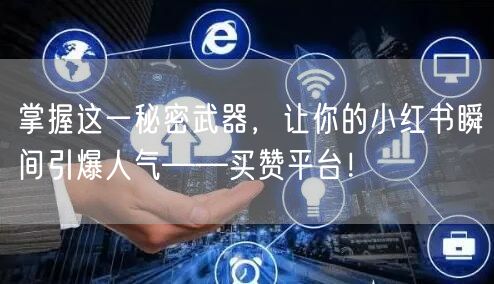 掌握这一秘密武器，让你的小红书瞬间引爆人气——买赞平台！