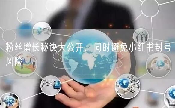 粉丝增长秘诀大公开，同时避免小红书封号风险